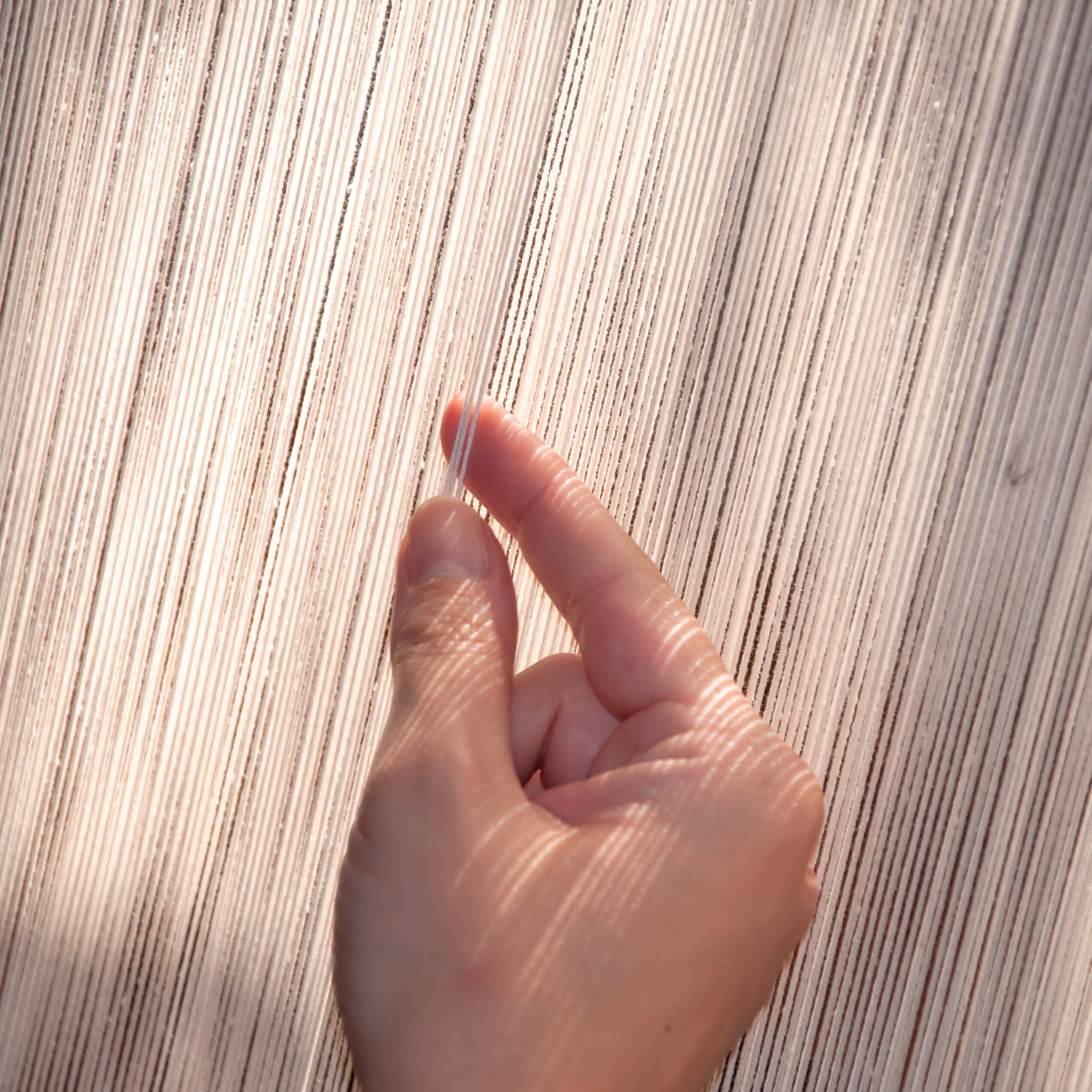 From Field to Fashion: The Sustainable Journey of Organic Fabrics