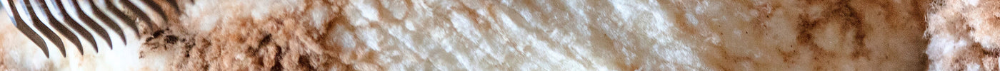 Merino Wool