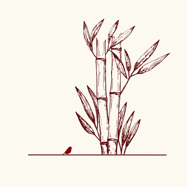 Bamboo Fabrics