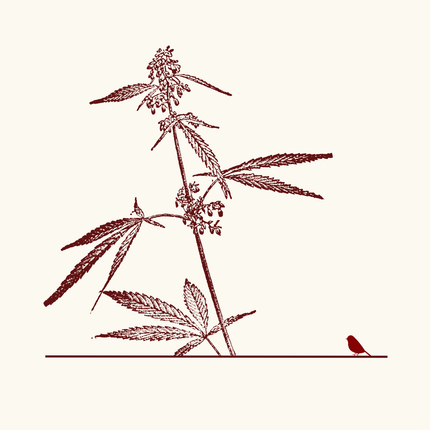 Collection image for: Hemp Fabrics