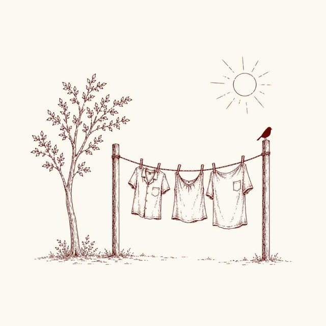 Summer Collection