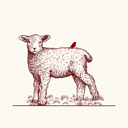Collection image for: Wool Fabrics