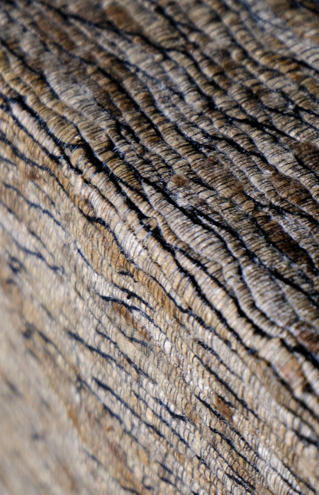 Handwoven Wild Silk Fabric by the Yard | Forest-Foraged Cocoons | 44” Wide | 480 GSM