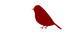 ZAN 